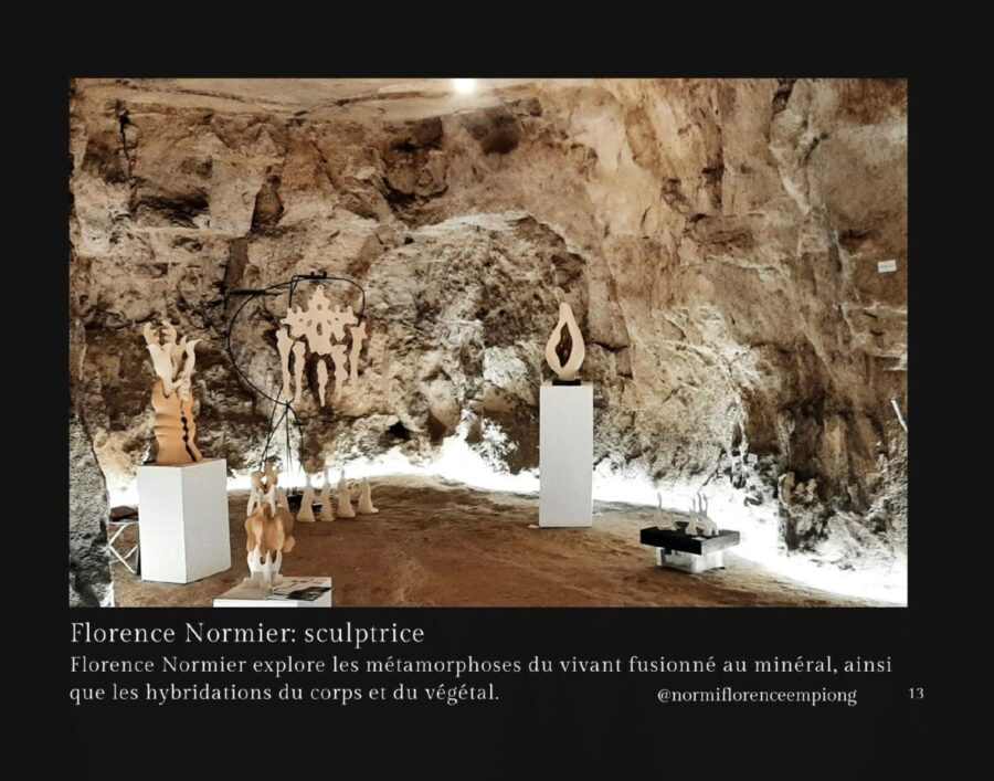 Livre d'art Insolite12heures-13