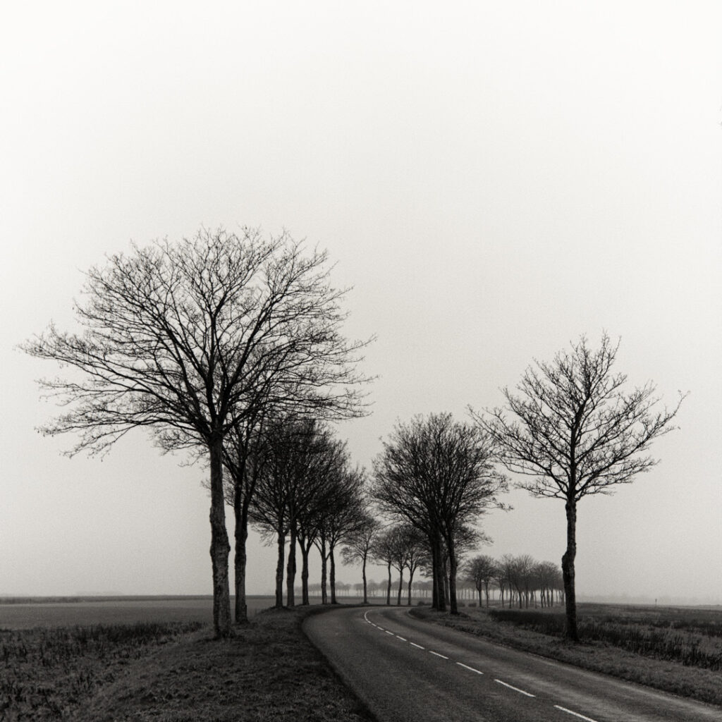 Carre-de-Nature_NB__1080-1