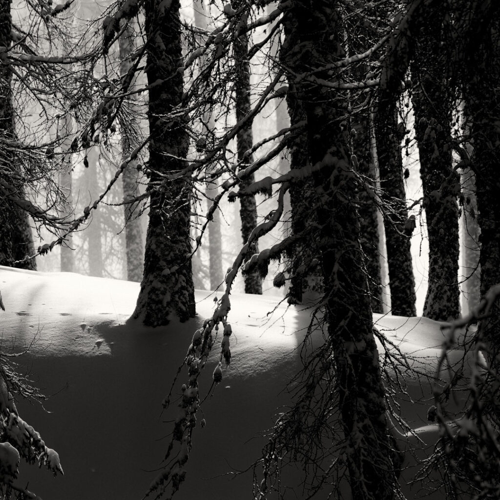 Carre-de-Nature_NB__1080-28