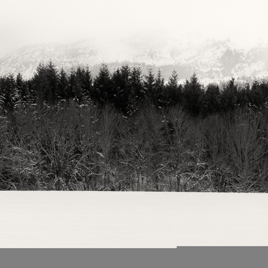 Carre-de-Nature_NB__1080-29