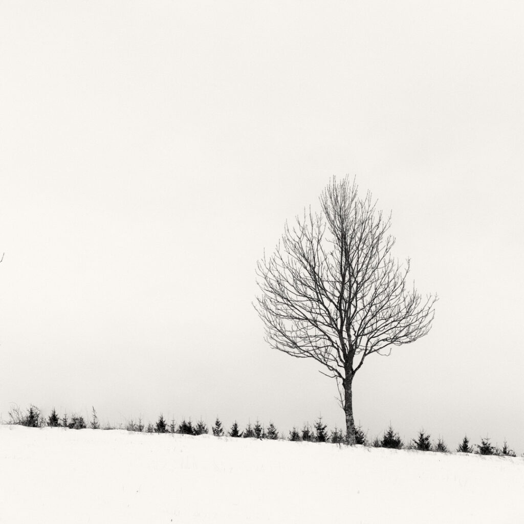 Carre-de-Nature_NB__1080-30