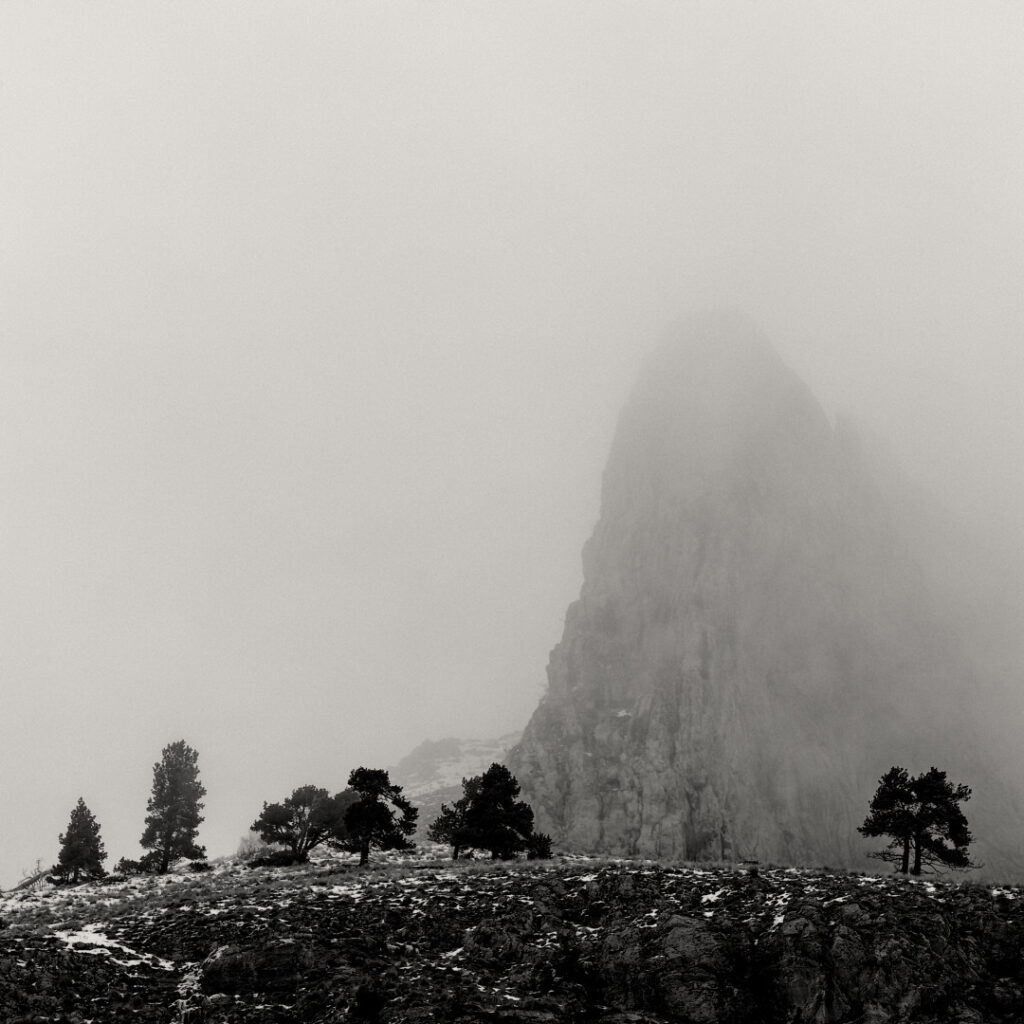 Carre-de-Nature_NB__1080-32