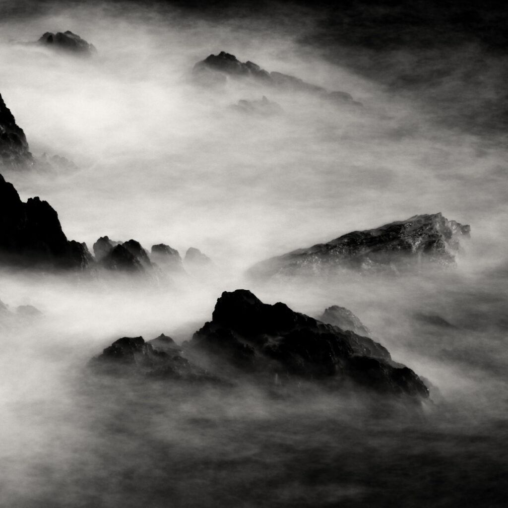 Carre-de-Nature_NB__1080-35