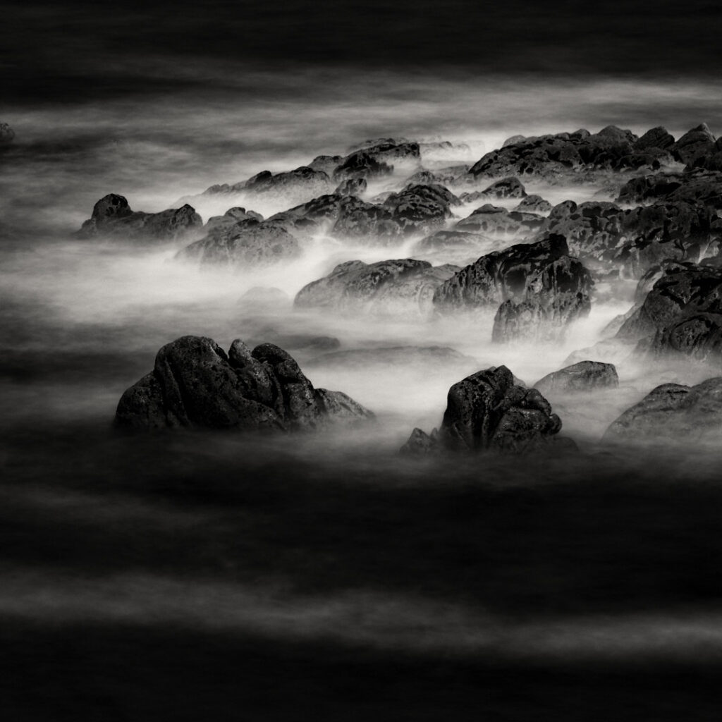 Carre-de-Nature_NB__1080-36