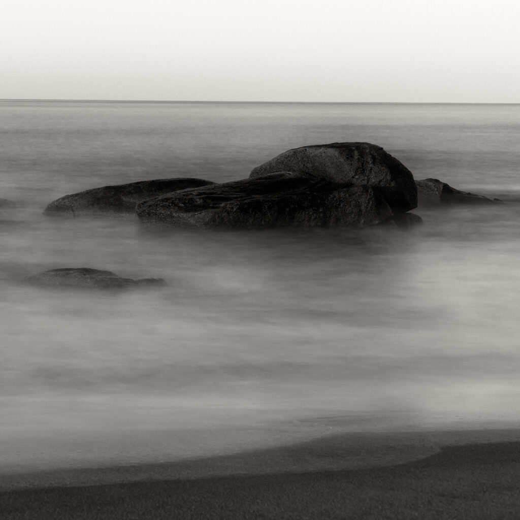 Carre-de-Nature_NB__1080-37