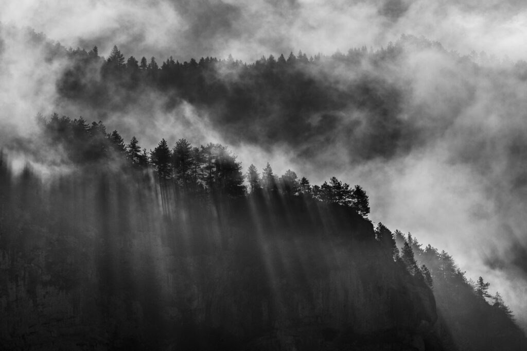 Chris_Branruz_oeuvre1_PDA2026