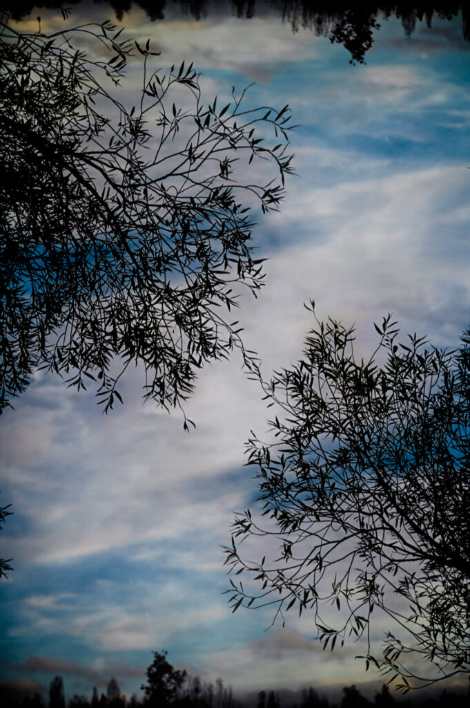 DIBR07DIBR-Symetrie-2289