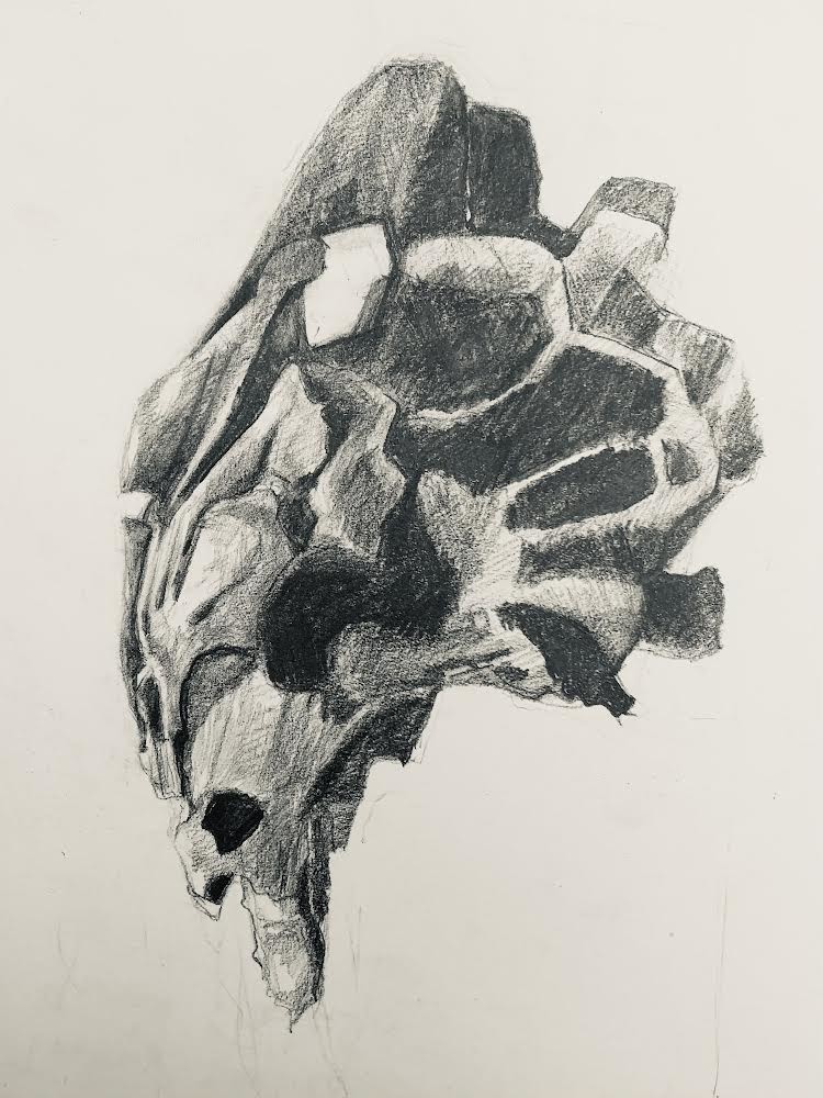 bois-noir-2